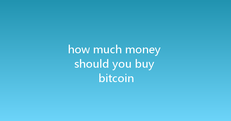 how much money should you buy bitcoin 